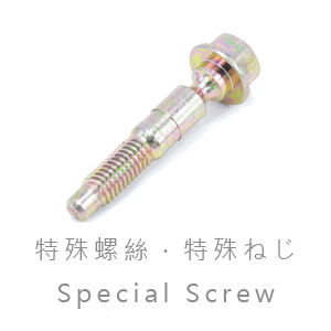 special custom screw