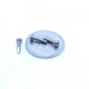 Stainless Steel Mini Screw